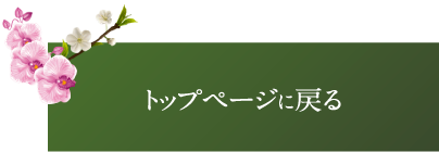 トップページに戻る